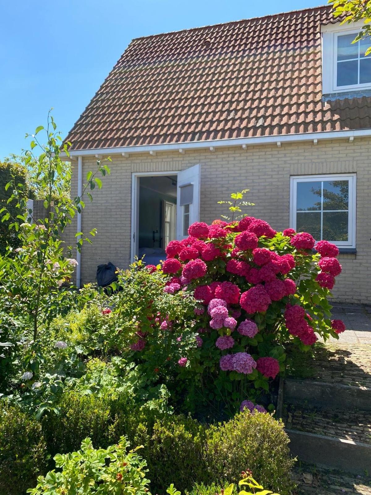Zeayou Zeeland - Appartementen Brouwerijweg 43 ดอมเบิร์ก ภายนอก รูปภาพ